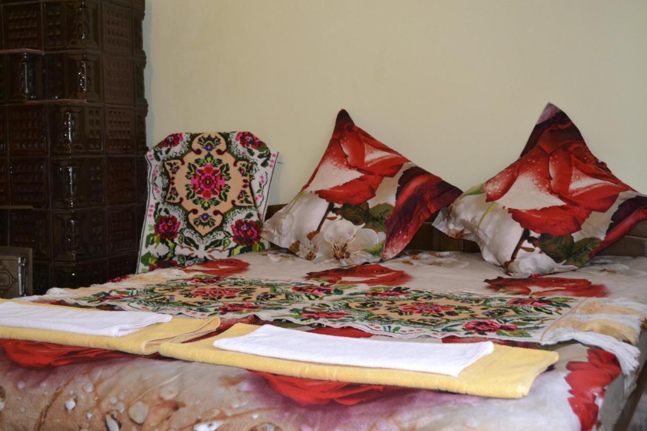 Pensiunea Malinul Bîrsana Dış mekan fotoğraf