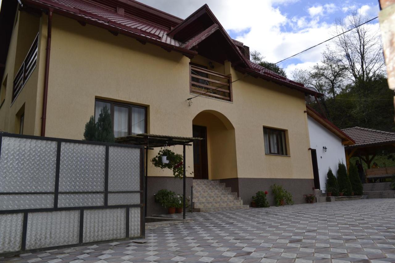 Pensiunea Malinul Bîrsana Dış mekan fotoğraf