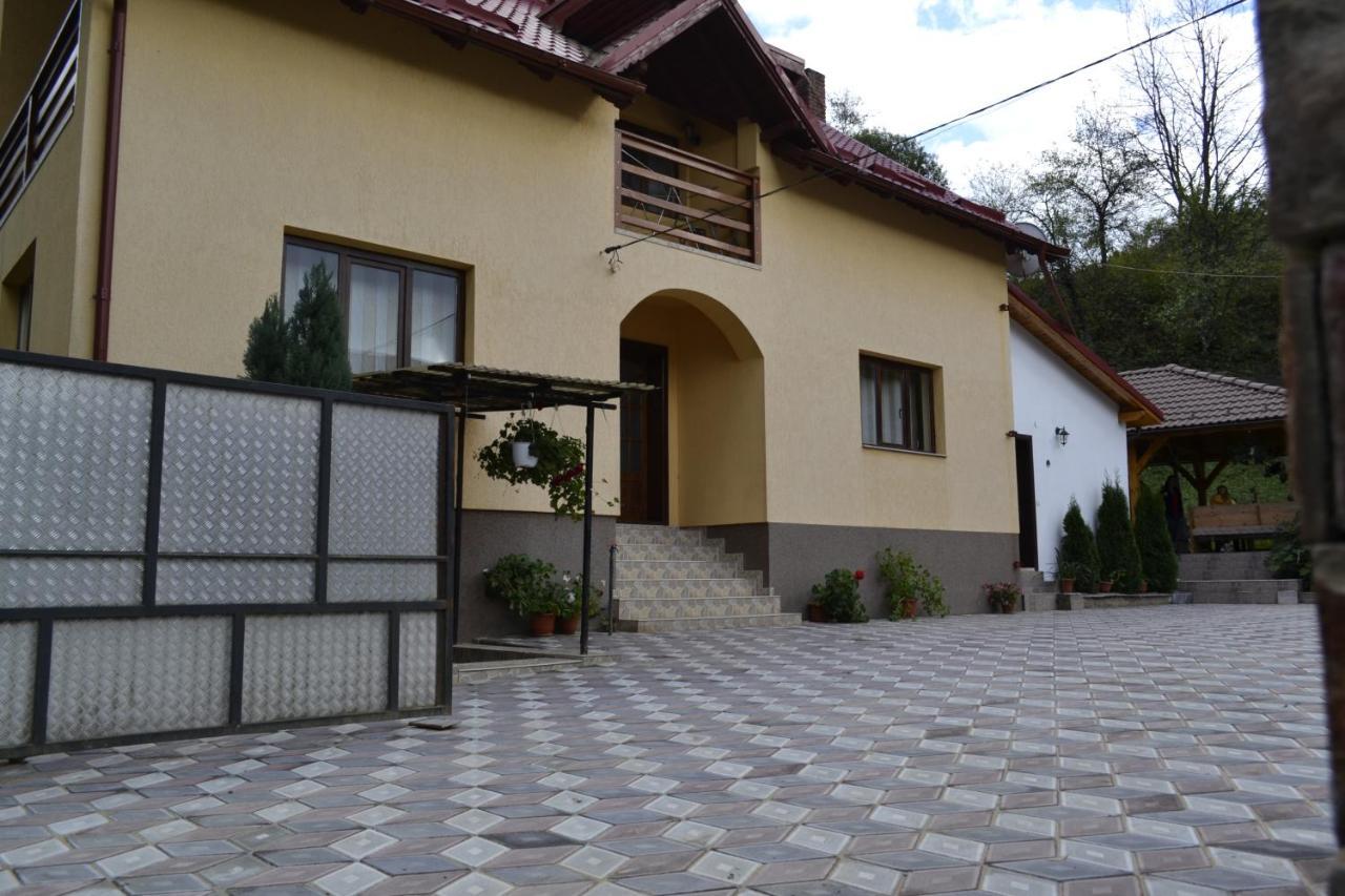 Pensiunea Malinul Bîrsana Dış mekan fotoğraf
