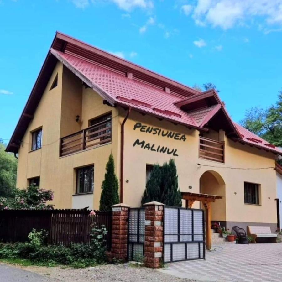 Pensiunea Malinul Bîrsana Dış mekan fotoğraf