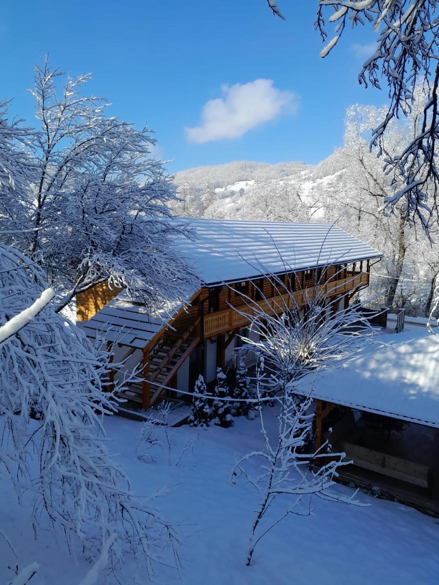 Pensiunea Malinul Bîrsana Dış mekan fotoğraf