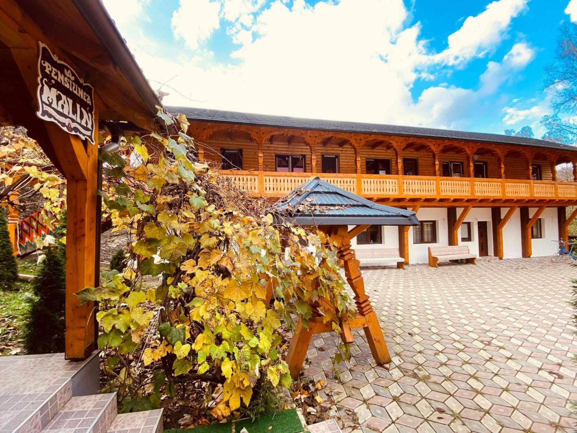 Pensiunea Malinul Bîrsana Dış mekan fotoğraf