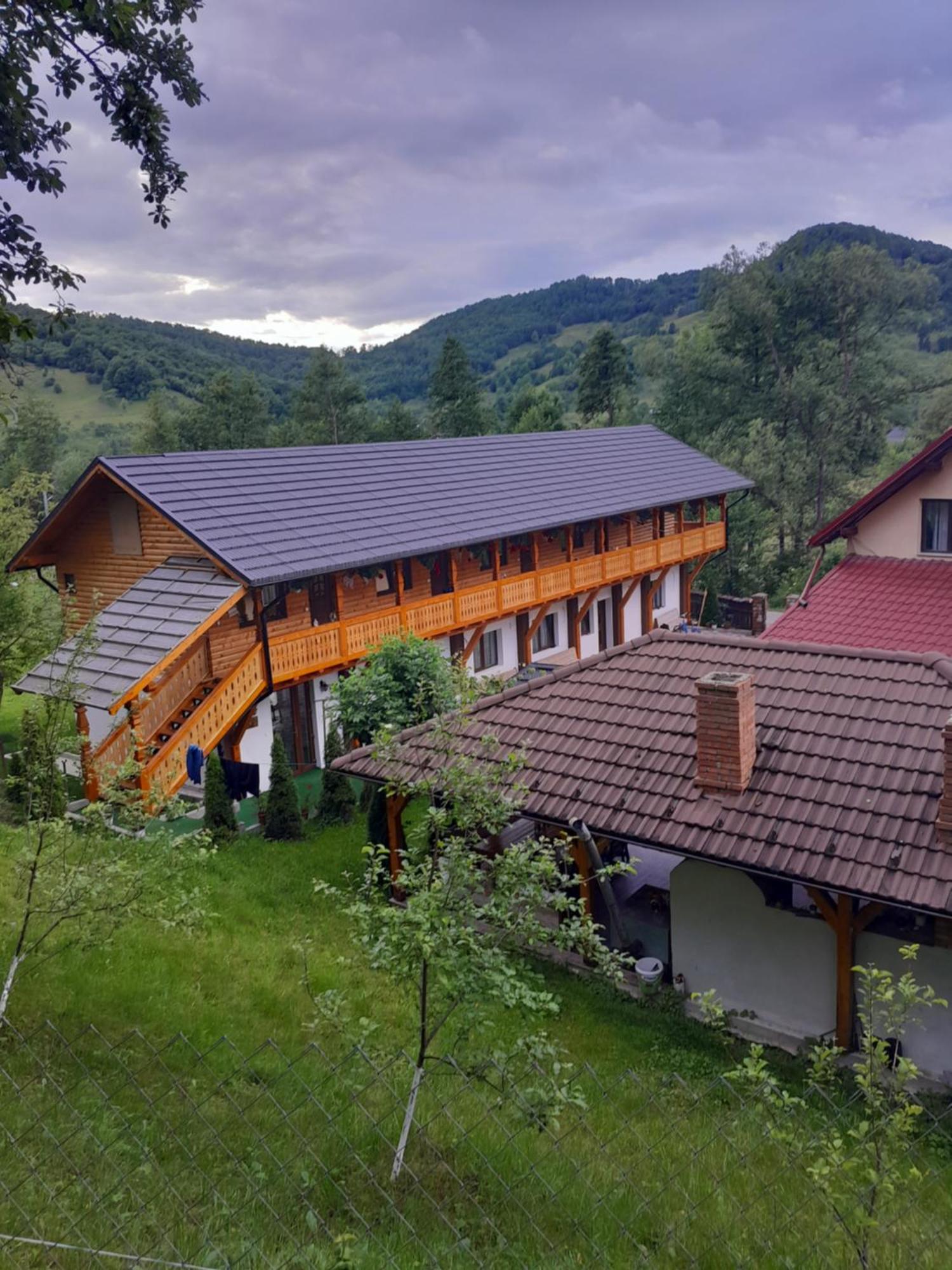 Pensiunea Malinul Bîrsana Dış mekan fotoğraf