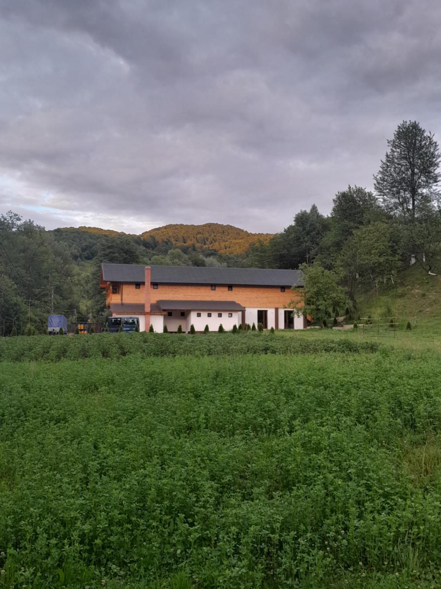 Pensiunea Malinul Bîrsana Dış mekan fotoğraf