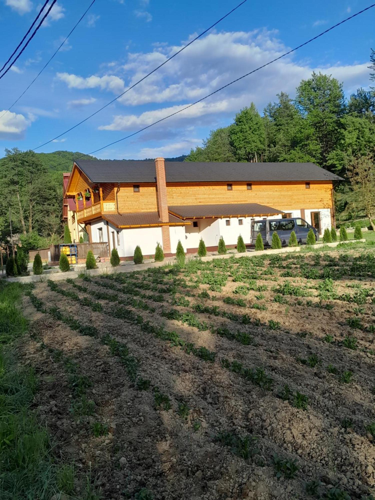 Pensiunea Malinul Bîrsana Dış mekan fotoğraf